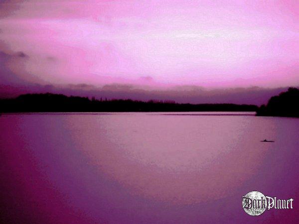 Jeziorak - violet  [Natura]