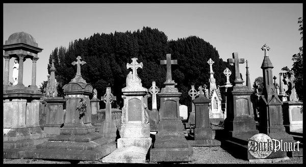 Glasnevin Cemetery [cmentarze]