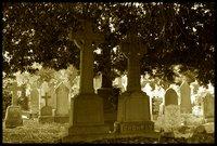 Glasnevin Cemetery [cmentarze]