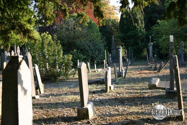 Glasnevin Cemetery in Dublin [cmentarze]