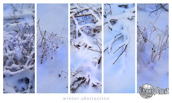 Winter Abstraction [natura]