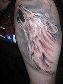 A tu mój drugi wilk;D 