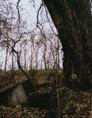 [Cmentarze] Wereszyn 