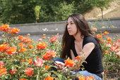 Rosarium 