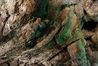 Cueva de los Verdes -1- [natura]