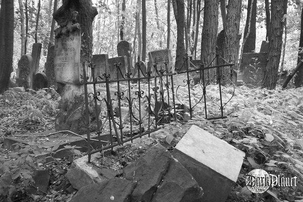 Cmentarz Żydowski (Kirkut) Warszawa 14