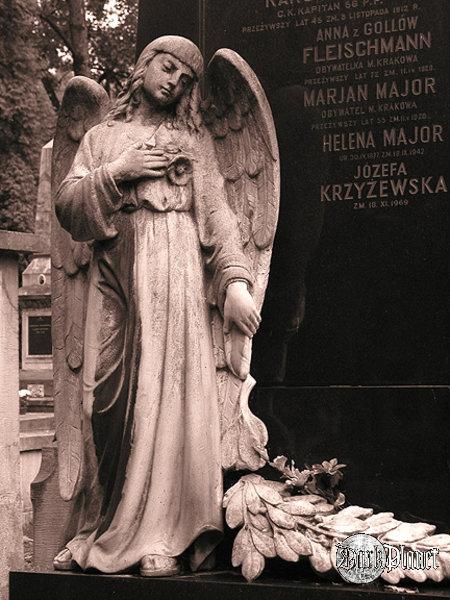 Krak - Rakowiecki