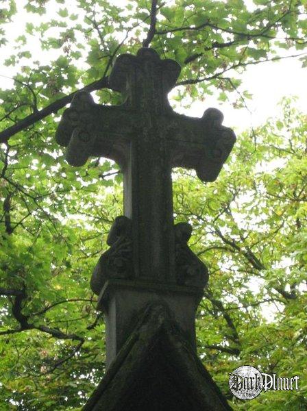 krzyż