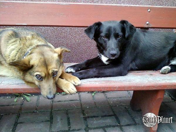 mona i poker
