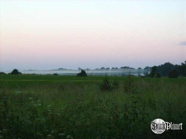 magiczna mgiełka o poranku (w zbliżeniu)