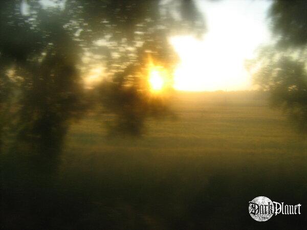 wschodzące znowuż..