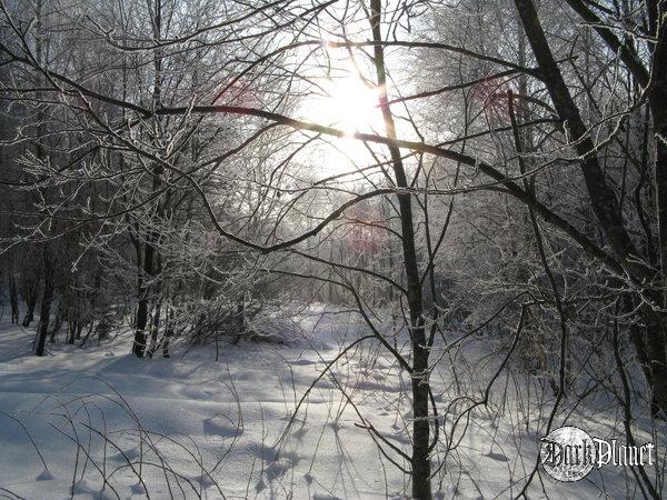 Bieszczady-28.XII.2007-2.I.2008