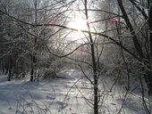 Bieszczady-28.XII.2007-2.I.2008 