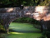 Ofelia Version 2.0 - bo woda byla za brudna 