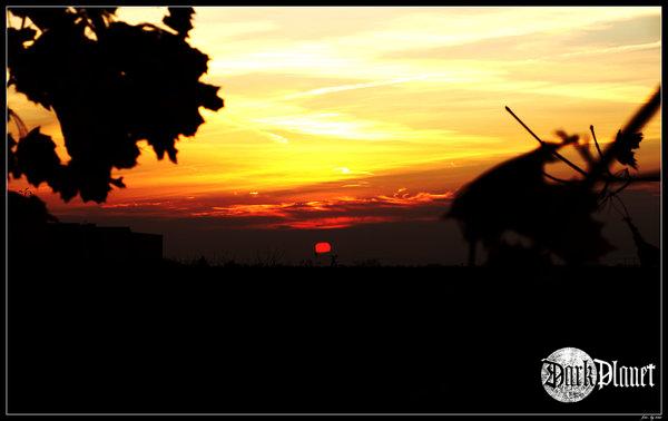 sunset3