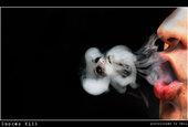 smokes kill 