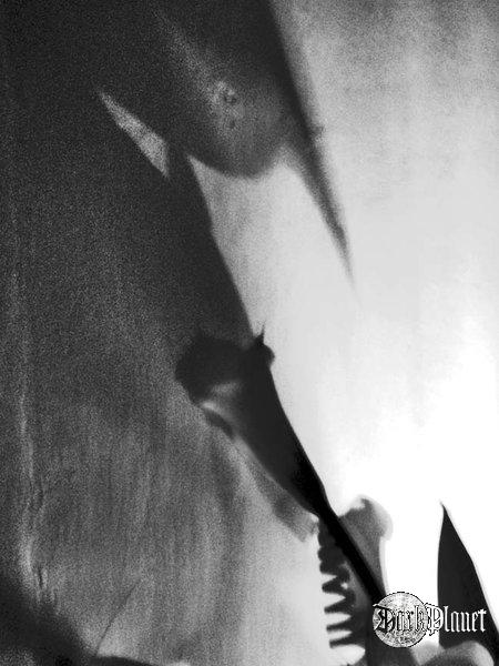 calla