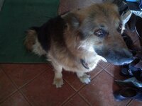 moje piękne :D<br />
