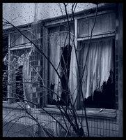 Architektura look outside your window (architektura)