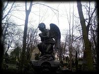 Cmentarze cmentarze    Powązki 7