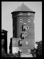 Architektura Wawel [Architektura]