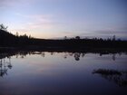 Anoia