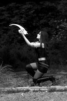 Sigrun vol.666
