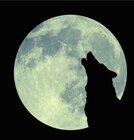 MoonfogFest