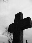 dissectionfan666