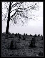 Cmentarze [Cmentarze]