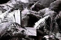 Cmentarze [cmentarze]