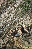 Castle Party Castle Party 2012