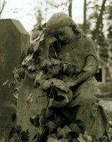 Cmentarze Nowina, 2004[cmentarze]