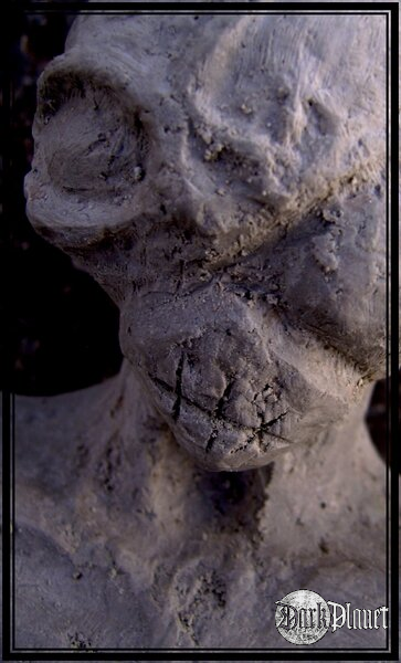 model z gipsu