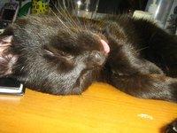 Portrety [portrety] dobre zioło nie jest złe  :D