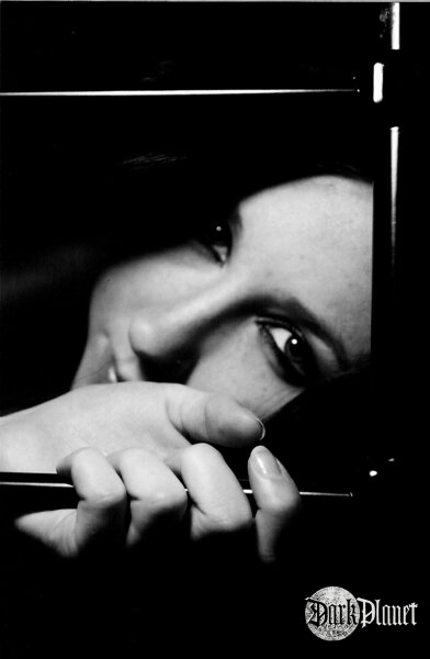 copyright: Ebony Wollerwhite<br />
