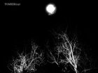 DARKLONE13