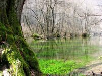 Bagna