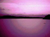 Natura Jeziorak - violet  [Natura]