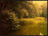 Natura Poznań-Golęcin [natura]