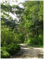 Natura Las - 2006.09.05. [Natura]