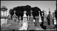 Cmentarze Glasnevin Cemetery [cmentarze]