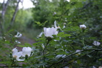 Różne
    