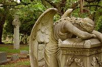 Cmentarze Houston [cmentarze]