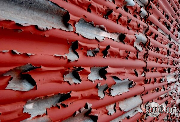 Red Rocket