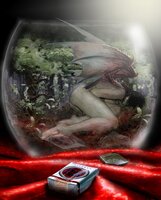Photomanipulation
