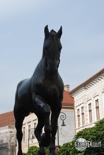 Koń z kamienia
