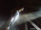 Gorm-Herk