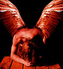 Angel8