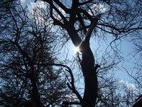 Natura Natura Natura Natura